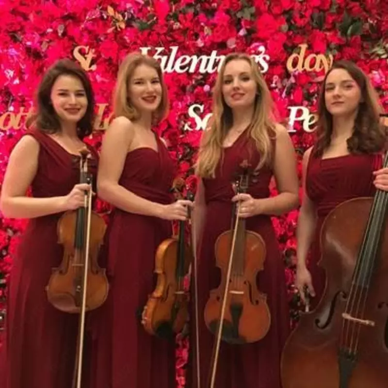 Музыкальное сопровождение на Вашем свадебном торжестве - Прочие услуги по организация торжеств