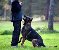 Вольеры для собак; Балансир для собак; Барьер для собак №1…  Ширина: 76-790 мм  L= 770-7300 мм