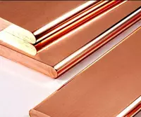 Bronza shina tasmasi  Kengligi: 15-1000 mm  s= 0 2-160 mm  L= 0 17-2 m  o‘lchangan uzunligi