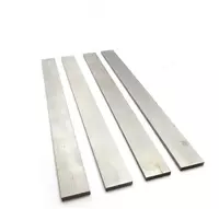 Полоса шина вольфрамовая Ширина: 87 мм  s= 0 2 мм  L= 0 23 м  Марка: BA