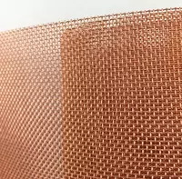  Grid bronza D = 0 03-0 1 mm  Hujayra olchami: 0 056x0 056; 0 063x0 063...  Kesish: 1xL  Turi: kvadrat… - 