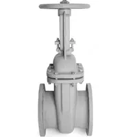 Задвижка нержавеющая D= 15-1200 мм  Давление: Ру10; Ру16; Ру40...  Маркировка: 30нж41нж; 30нж15нж...