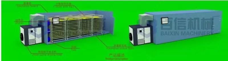 Производственная линия для сушки и упаковки фруктов