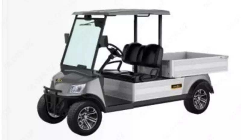 Двухместный Гольф - карт DU-CA500 (Китай)