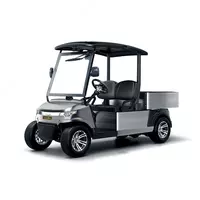  Двухместный Гольф - карт DU-CA500 (Китай) - 