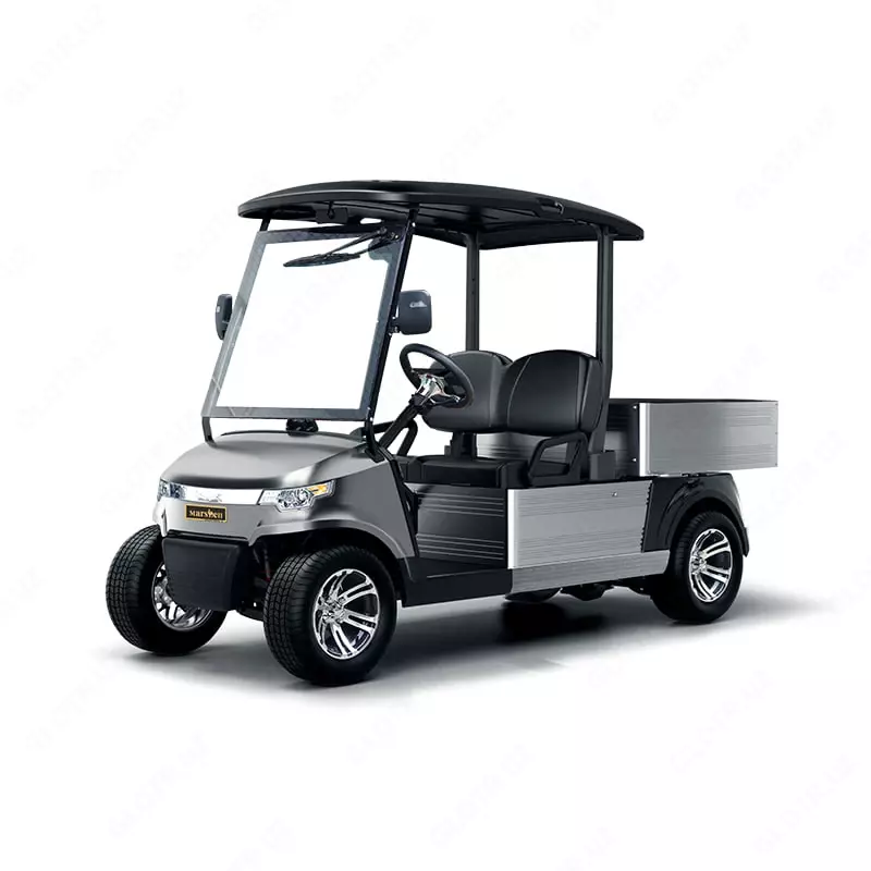  Двухместный Гольф - карт DU-CA500 (Китай) - 