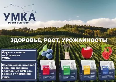 25 000 сум от 1 т
                                                
                    
                                                            24 000 сум от 2 т Водорастворимые NPK удобрение 20-20-20 МЕ