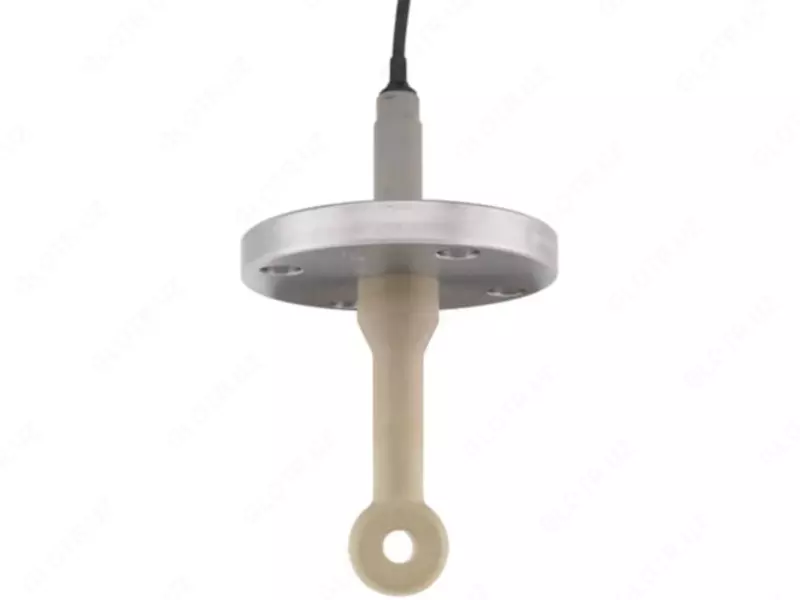 Датчик проводимости E+H Indumax CLS50D