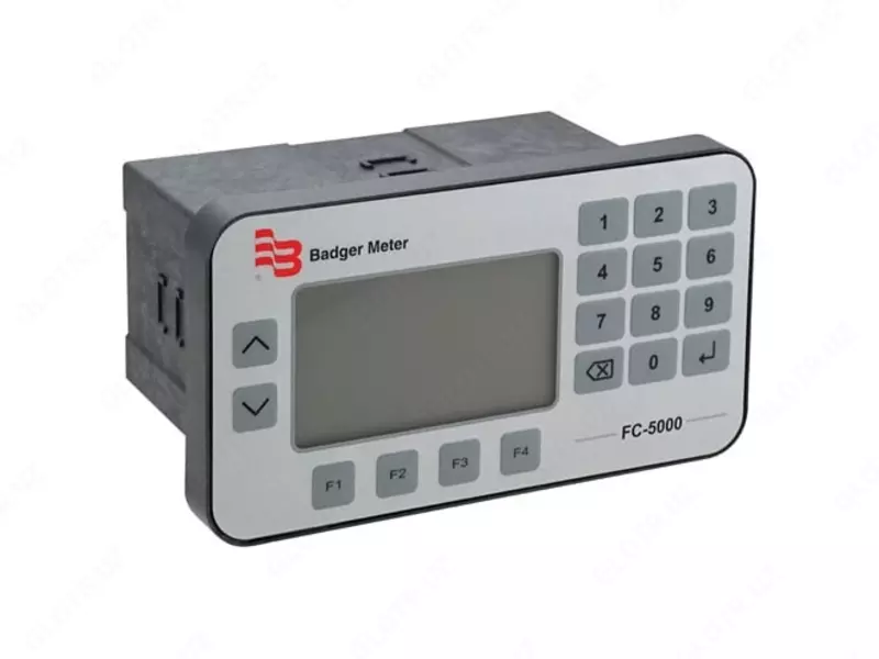Monitor Badger Meter FC-5000 BTU