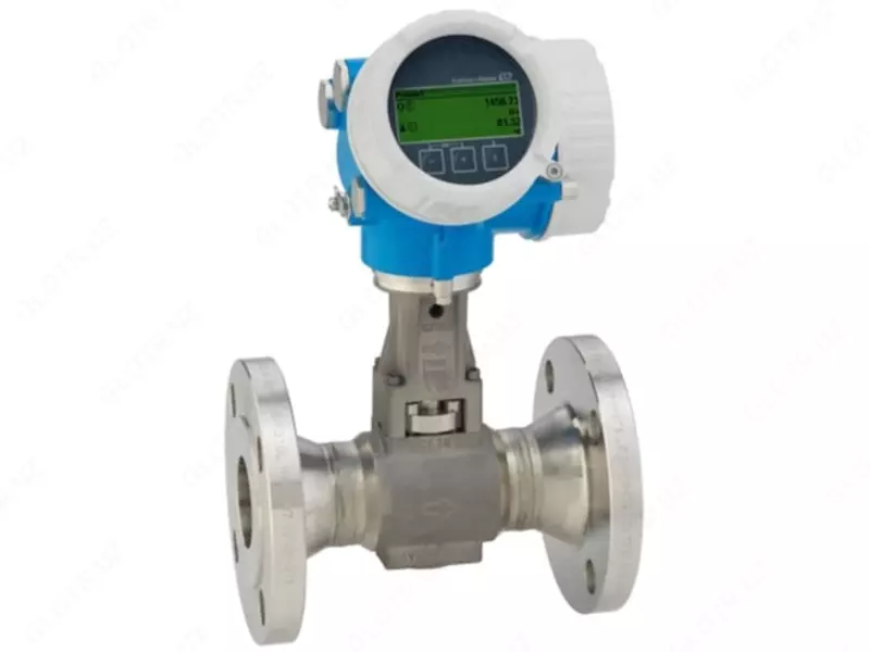 Vorteks oqim olchagichi E+H Proline Prowirl F 200