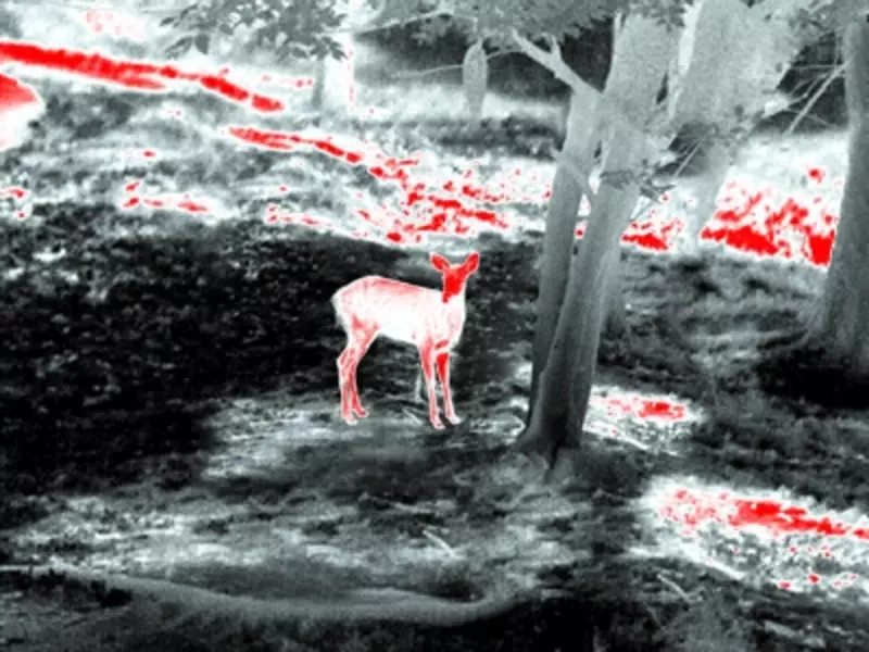 ТЕПЛОВИЗИОННЫЙ ПРИЦЕЛ GUIDE TS450 Только в розницу