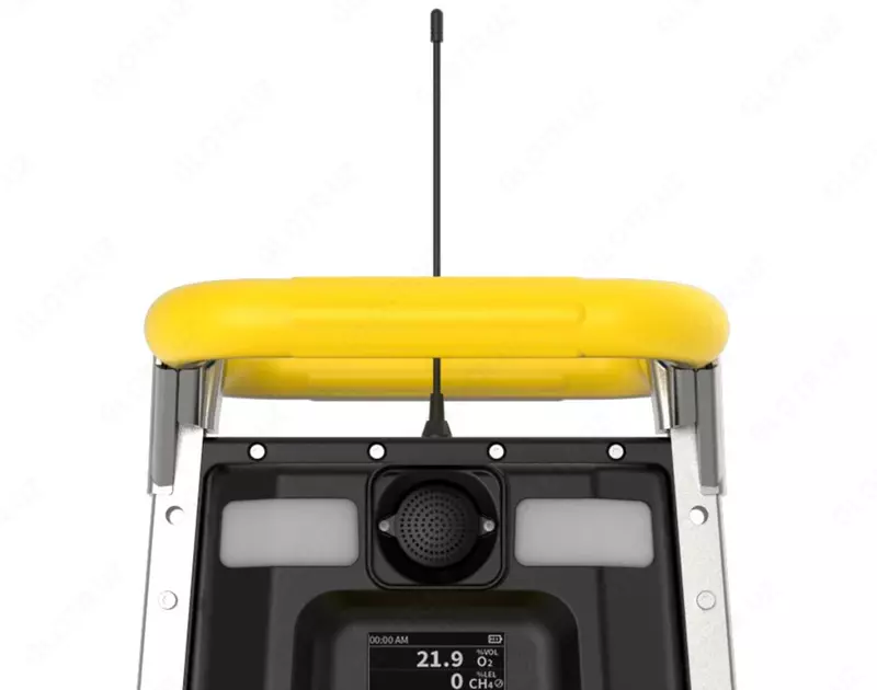 Газоанализаторы BW RigRat