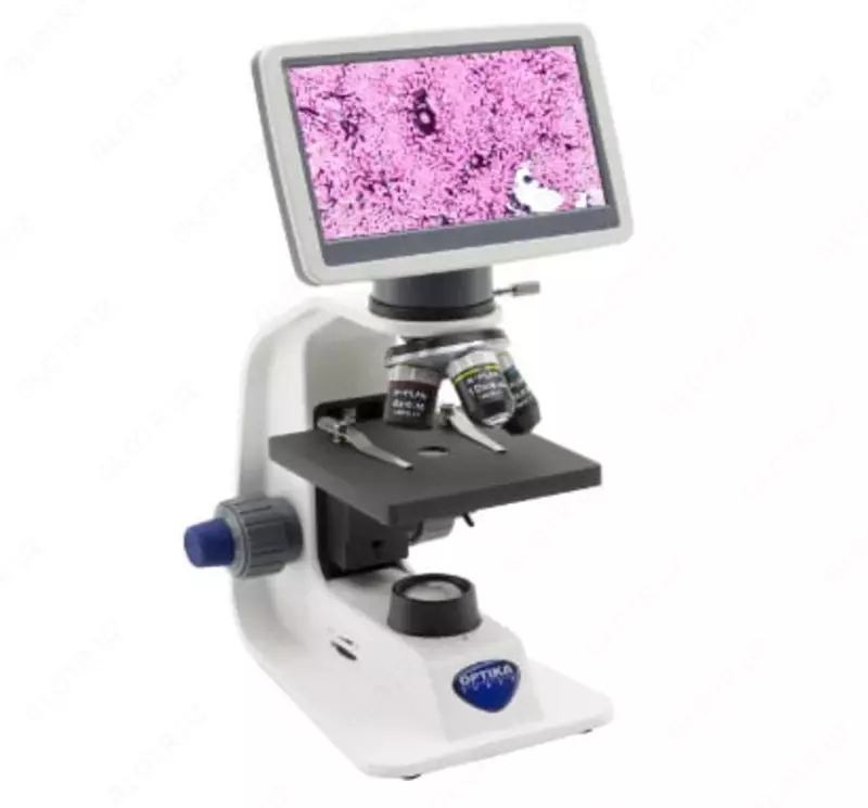 Biologik raqamli video mikroskop 600x Optica B-153V (talim)
