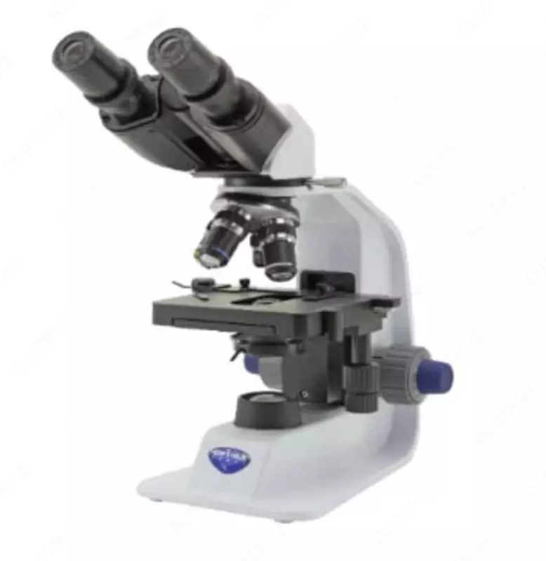  Optica B-159R-PL biologik binokulyar mikroskop (talim) - 