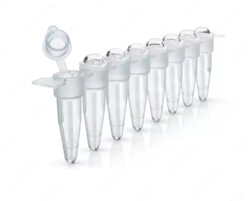  Shaffof tekis qopqoqli PCR naychalari (0 2 ml) 1000 dona - 