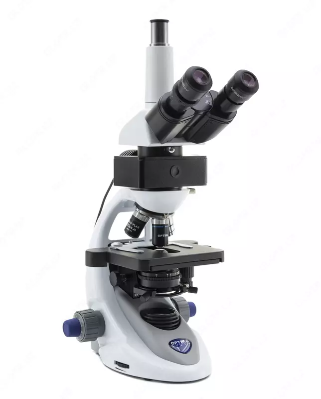 Микроскоп лабораторный B-293LD1.50