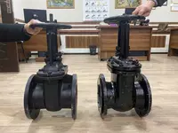 Чугунные задвижки. Китай. Только в розницу