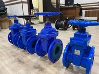 Задвижка с обрезиненным клином Китай.