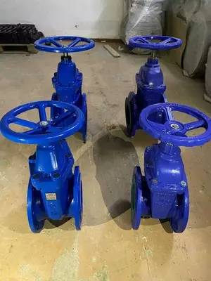 Задвижка с обрезиненным клином Китай.