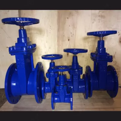 Задвижка обрезиненным клином.