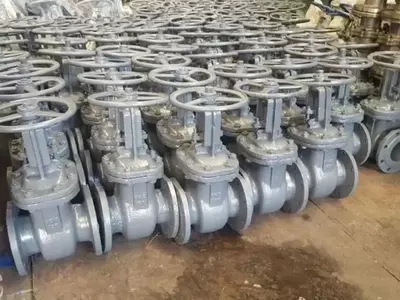 стальной задвижки. Россия.