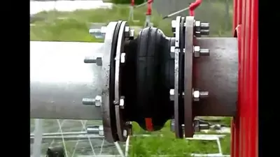 виброставка