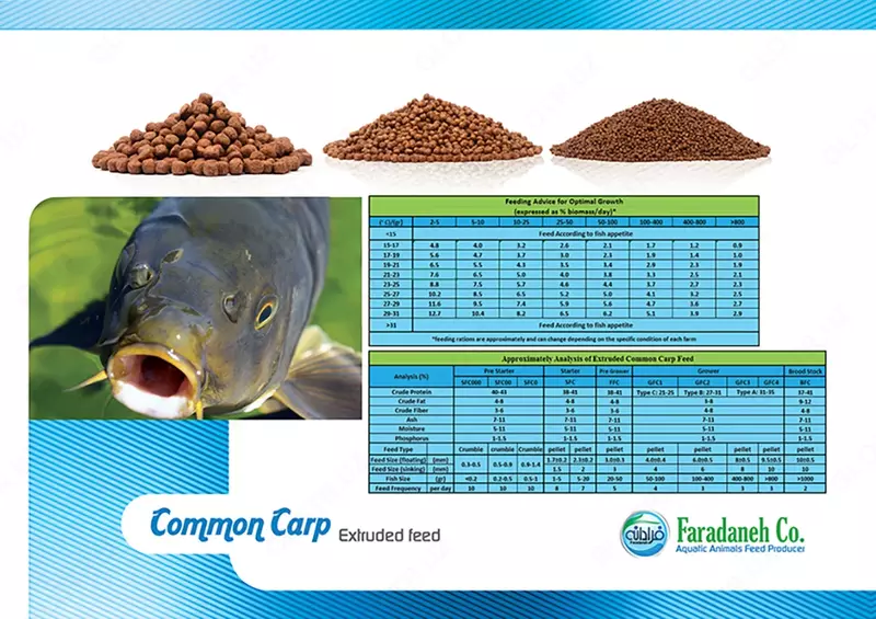  Корм для прудовых Рыб Только оптом