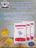 Ионообменная смола EXTREPURE 001x8 FG (катионит)