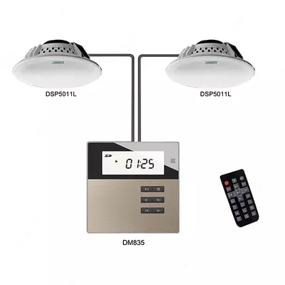 DSPPA DM835 Умный дом на настенном музыкальном усилителе