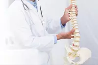 Вертебролог