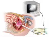 Кабинет ультразвуковой диагностики / УЗИ простаты