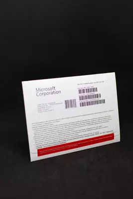 Windows 11 Professional