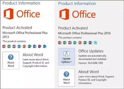 Microsoft Office 2016 Pro Plus - 207 480 сум / шт.