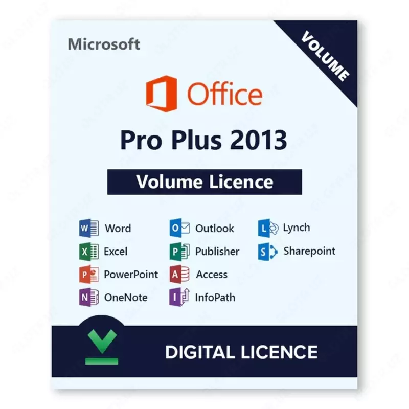  Microsoft Office 2013 Pro Plus - 