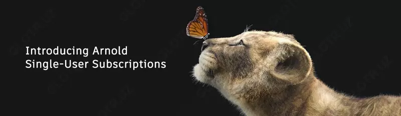 Arnold Commercial Single-user 3-Year Subscription Renewal - 5 423 600 сум