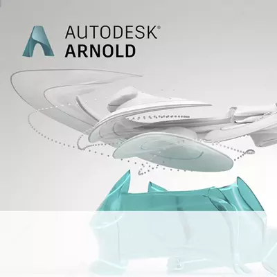 Autodesk Arnold 2020 Commercial Single-user ELD Annual Subscription