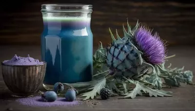 Расторопша для здоровья печени 72 гр (600 мг х 120 шт) 2 мес Только в розницу