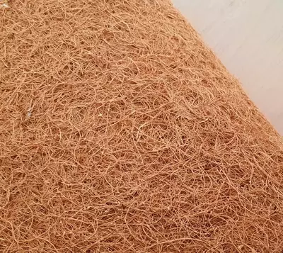 Prujinasiz matras FOAM HARD 2 x 1