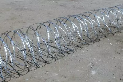 Проволока (Егоза