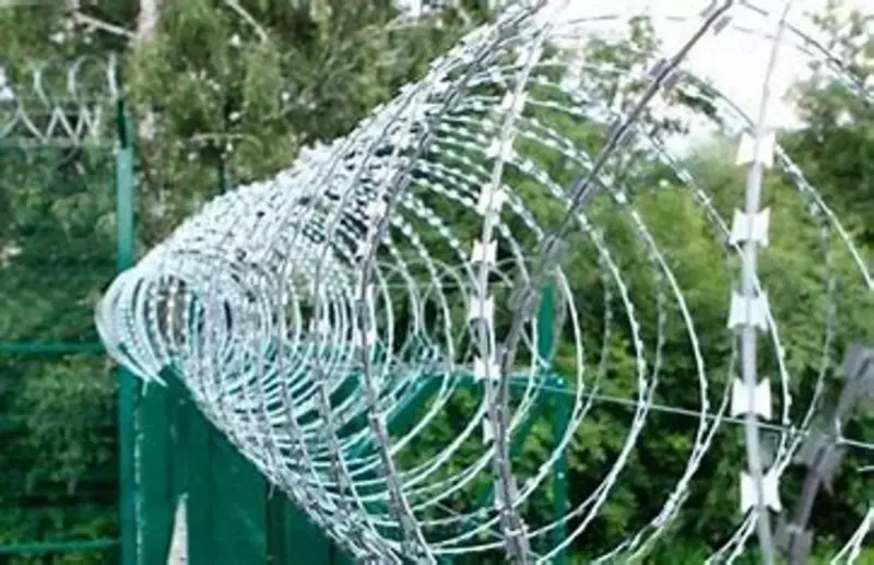 от {0} сум Егоза СББ 500/3/25 мм