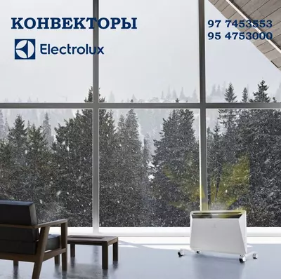 Конвектор (обогреватель) Electrolux