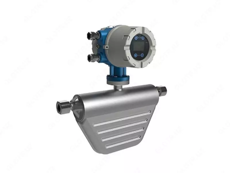 Массовый расходомер Walsn – серия CNG