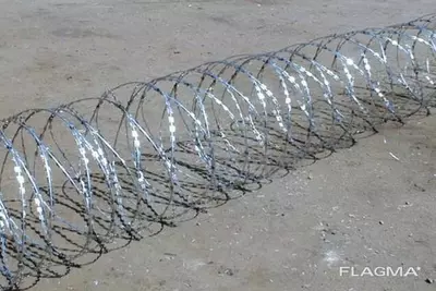 ЕГОЗА - 29 000 сум / кг.