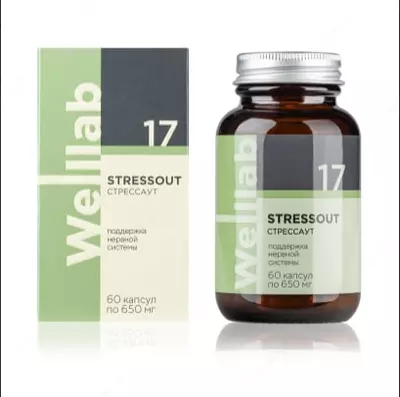 БАД для нервной системы Welllab STRESSOUT PHYTO