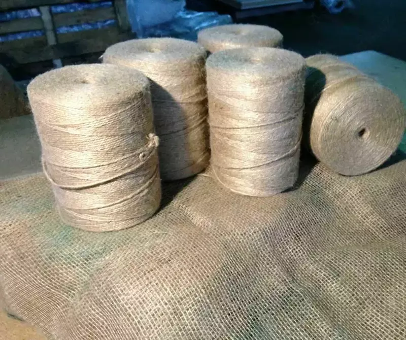 двухниточный