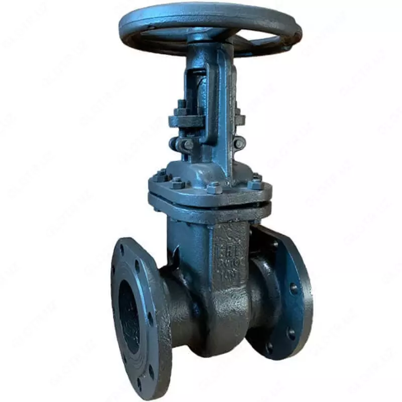 Chelik klapan "KTA VALVES" 30s41nzh DU-65 RU-16