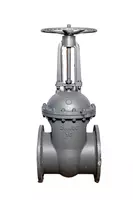 Задвижка стальная 30с41нж ДУ-600 РУ-16  KTA VALVES