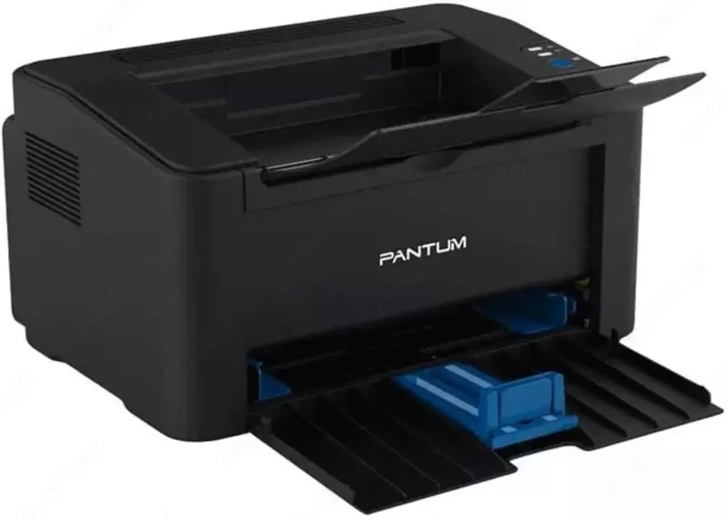 Монохромный лазерный принтер "Pantum" М2207, A4 (Арт. - P2207) Черный