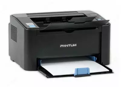 Монохромный лазерный принтер "Pantum" М2507, A4 (Арт. - P2507) Черный