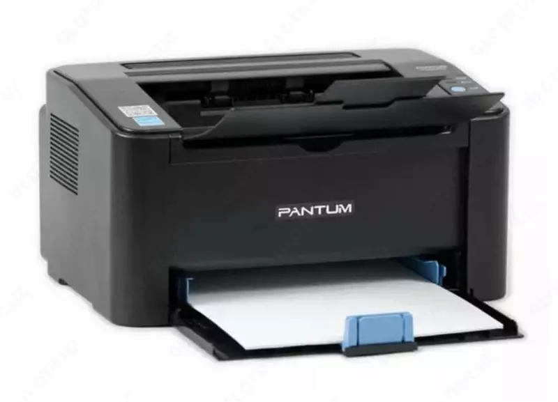 Монохромный лазерный принтер "Pantum" М2507, A4 (Арт. - P2507) Черный